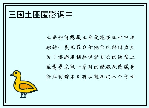 三国土匪匿影谋中